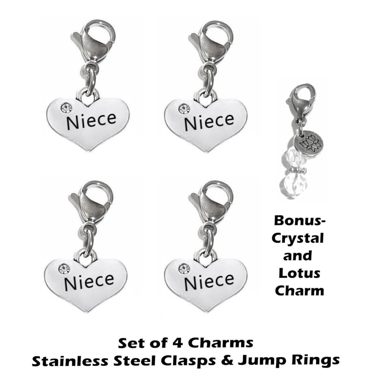4 Pack Niece Clip On Charms - Family Charms Clip On Anywhere