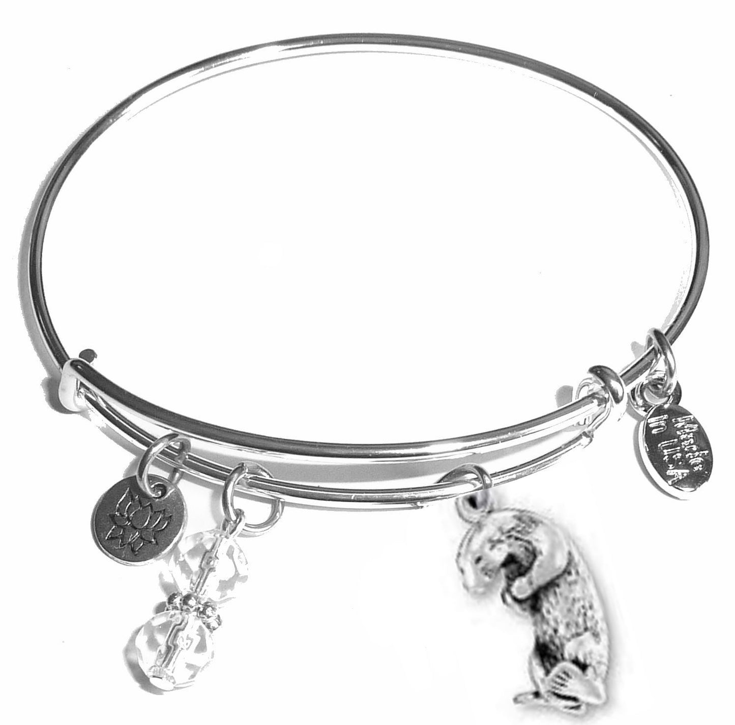 Otter - Message Bangle Bracelet - Expandable Wire Bracelet– Comes in a gift box