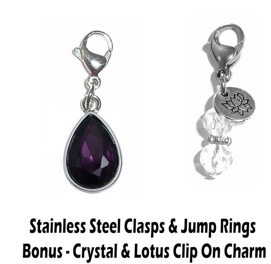 February Birthstone Clip On Charms - Birthstone Charms Clip On Anywhere
