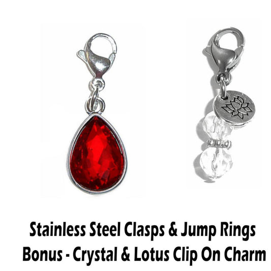 Janaury Birthstone Clip On Charms - Birthstone Charms Clip On Anywhere