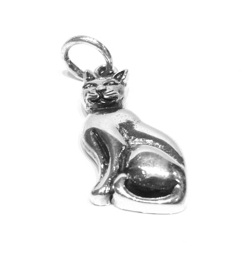 Pewter Silver Tone Message Charm - Cat Charm