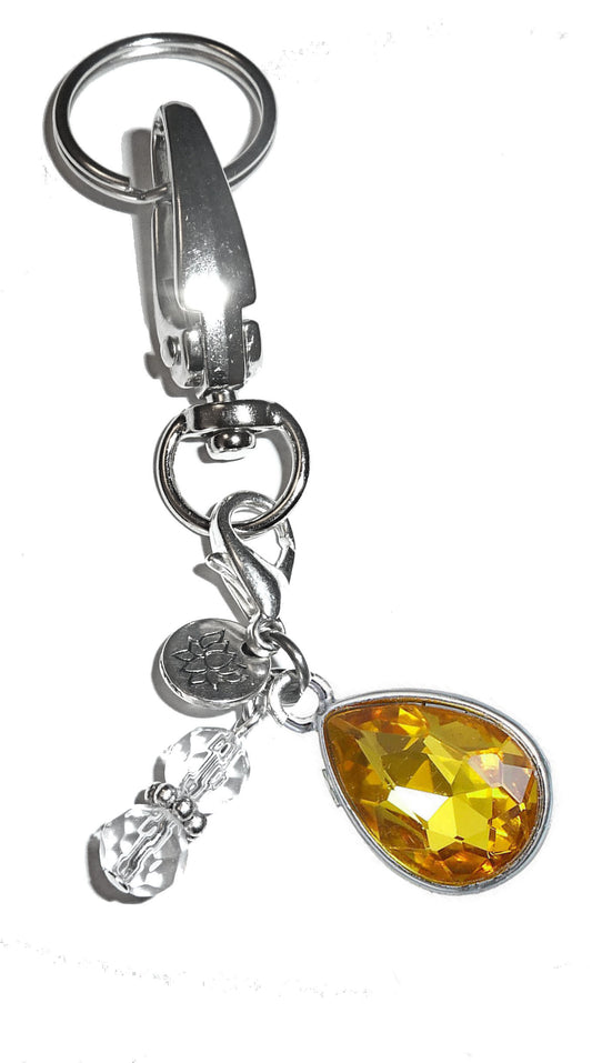 (November) Birthstone Charm Key Chain Ring, Women's Purse or Necklace Charm, Comes in a Gift Box!